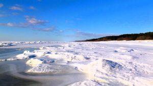 Lauku pirts ar skatu uz mežu