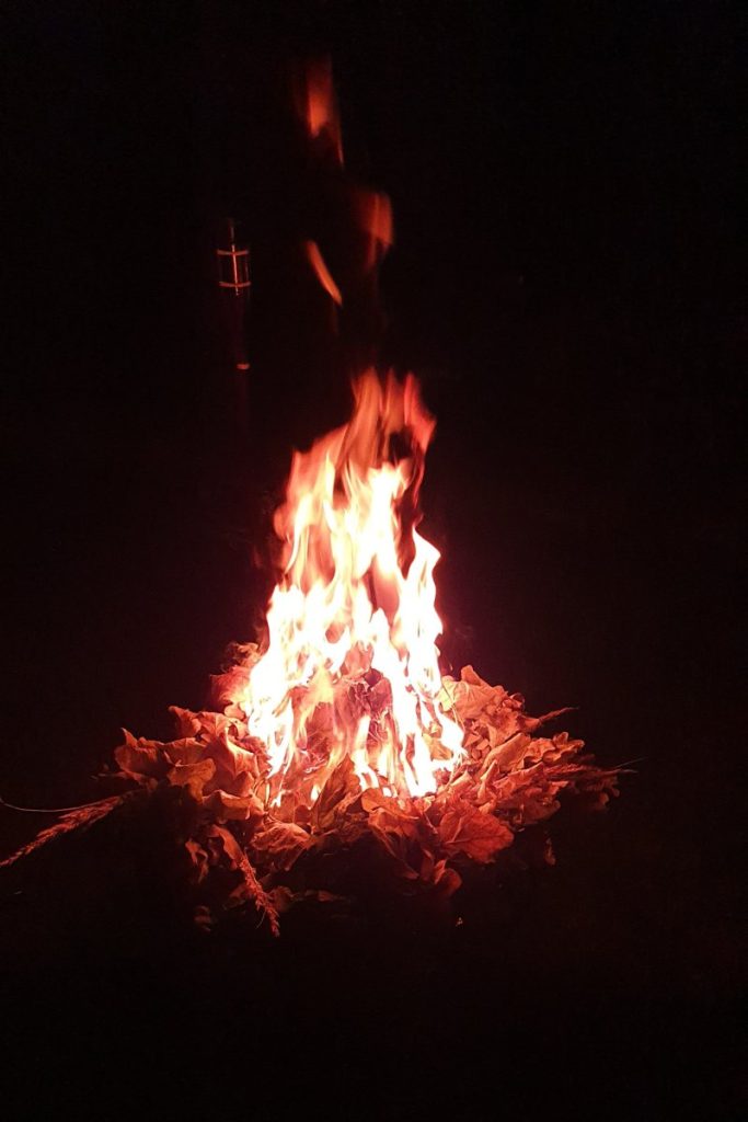 Pirts Rozēni pie dabas